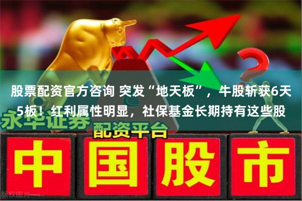 股票配资官方咨询 突发“地天板”，牛股斩获6天5板！红利属性明显，社保基金长期持有这些股